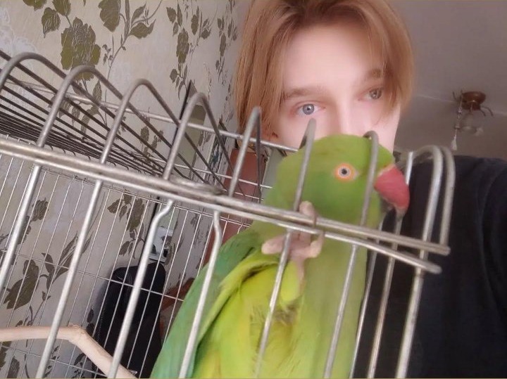 Allisonq holding his green ringneck parakeet next to her cage